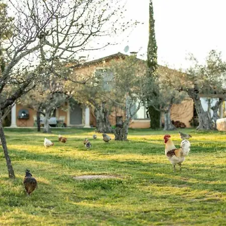 Landhaus Vaqueria Cantaelgallo